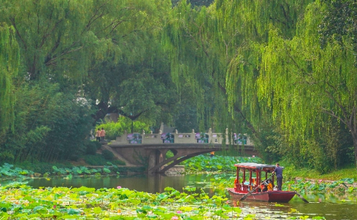 2022年末伏最后一天是什么时间