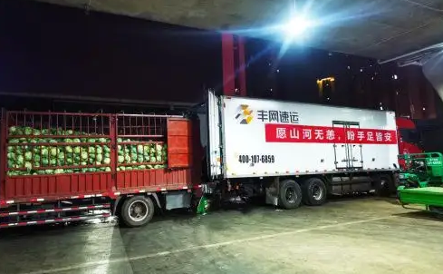 丰网速运快不快