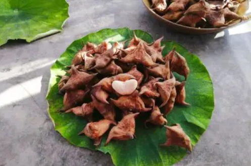 菱角冷冻一年可以食用吗