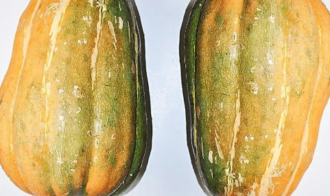 北瓜长什么样子的图片