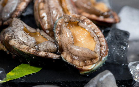 鲍鱼多少头的才是好的