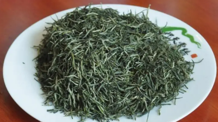 信阳毛尖是绿茶吗