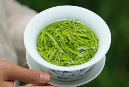 信阳毛尖是绿茶吗