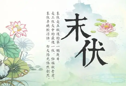 2022年末伏最后一天是几月几号