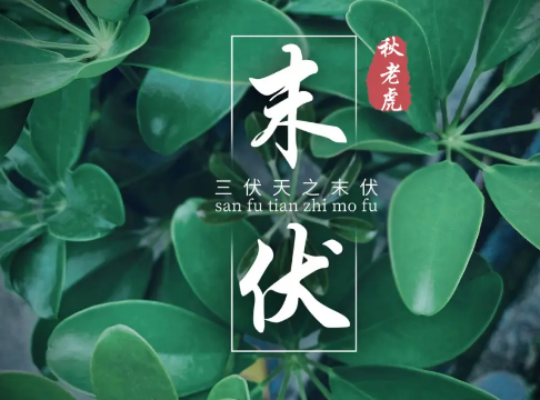 2022年末伏最后一天是几月几号