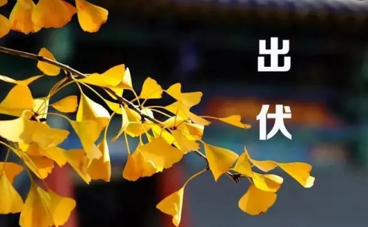 2022出伏是几月几号几点几分
