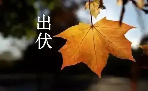 2022出伏是几月几号几点几分