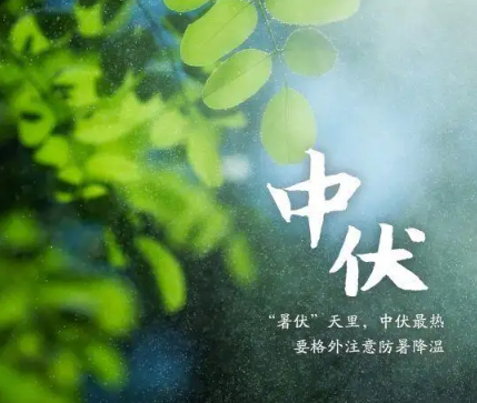 2022年二伏是几月几号哪一天