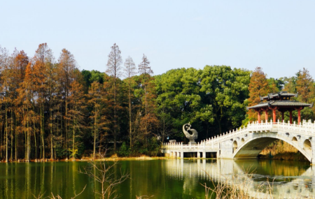 东湖落雁岛和落雁景区是一个地方吗