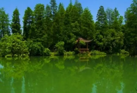 东湖落雁岛风景区门票要预约吗