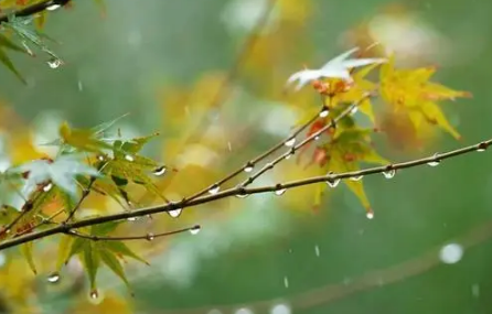 到白露气温一般在几度2022