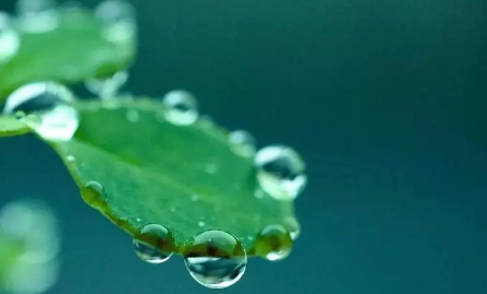 2022白露过后还有大雨吗