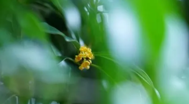 2022白露过后还有大雨吗