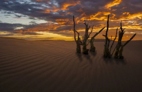 2022夏天越热冬天越冷是真的吗