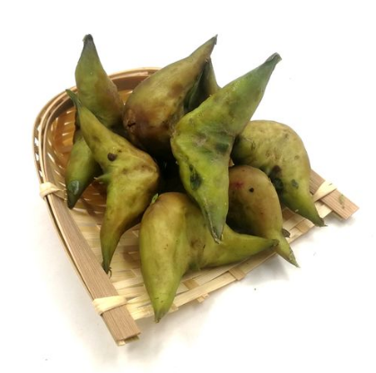 菱角生吃有寄生虫吗