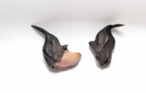 菱角用电饭煲煮的熟吗