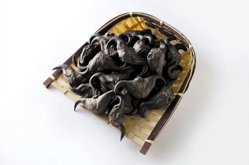 菱角放干了还能吃吗