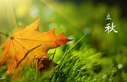 2022立秋在三伏天里会凉快吗