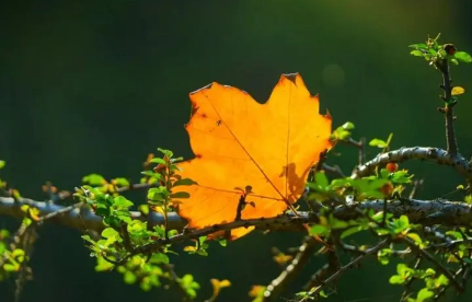 2022立秋在三伏天里会凉快吗