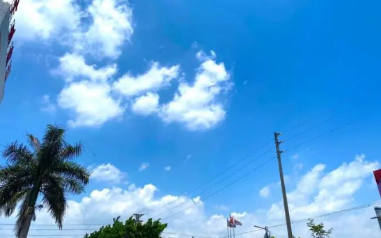 三伏天晒背的好处及作用和时间