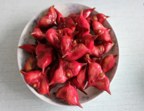 菱角煮完了发苦能吃吗