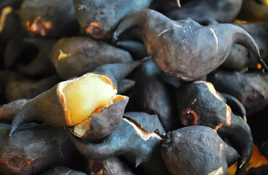 吃了菱角胃不舒服怎么回事