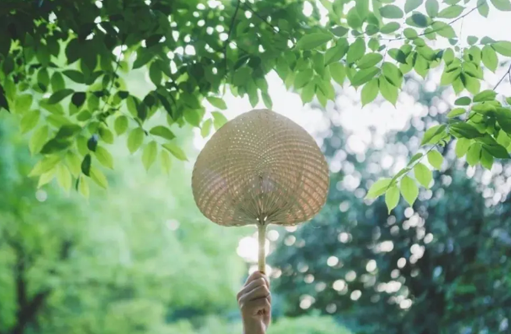 连续十天晒背30分钟能祛湿吗