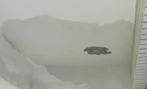 阳台有水会漏到楼下吗