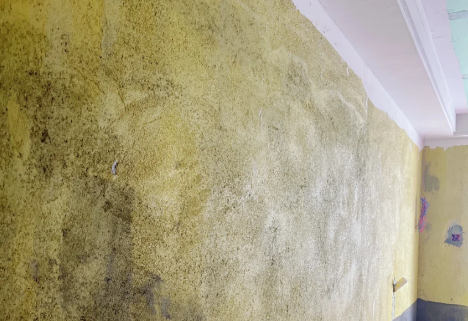 墙面拉毛用108胶还是用墙固