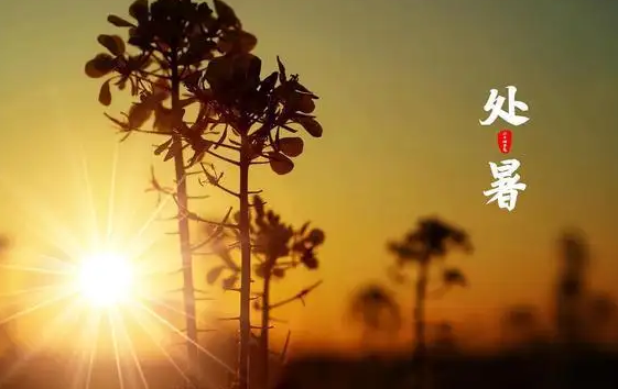 2022年处暑交运是几点到几点