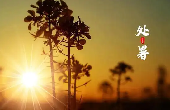 2022年处暑后面的传统节日是什么