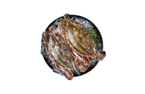 一只梭子蟹大概多重