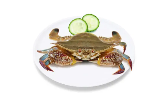 一只梭子蟹大概多重