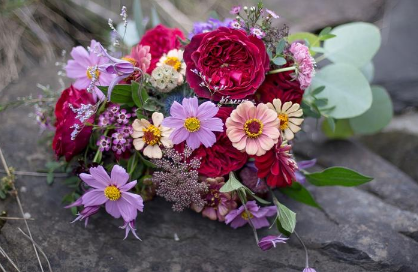 入宅不能买什么鲜花