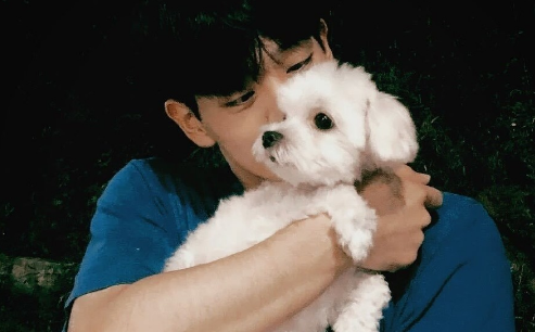 说一个人看起来像渣男是帅吗