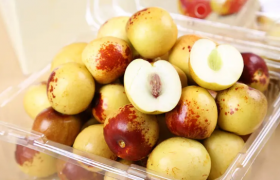 冬枣几月份最好吃