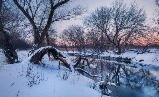 2022年一九是哪天几月几号星期几