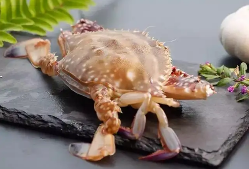 梭子蟹买回来没多久就死了可以吃吗