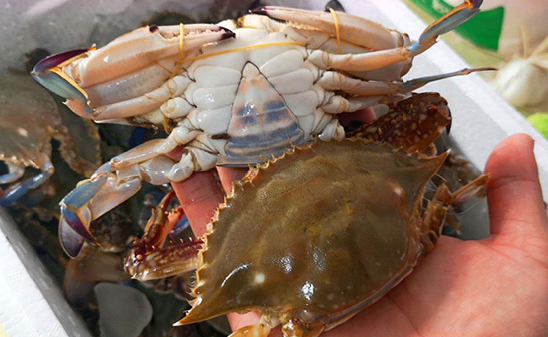 梭子蟹蒸10分钟会不会有寄生虫