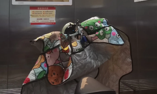 电动车进入电梯违法吗