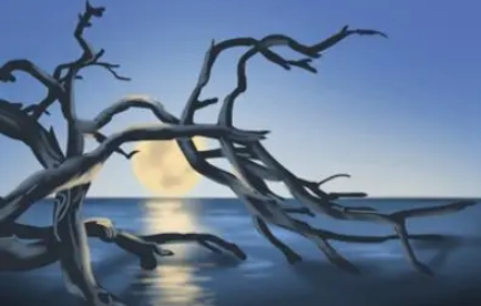 2023年兔年犯月是几月