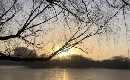 2023年兔年犯月是几月