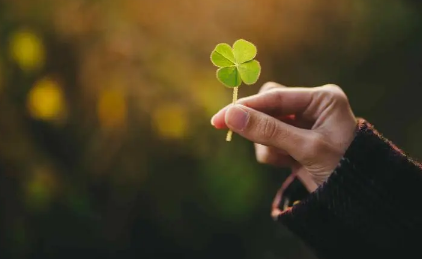 2023年兔年旺月是几月