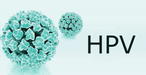 支付宝九价疫苗预约要多久