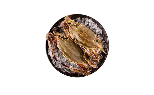 梭子蟹可以寄顺丰快递吗