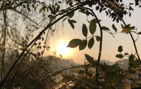 2022年重阳节天气冷吗