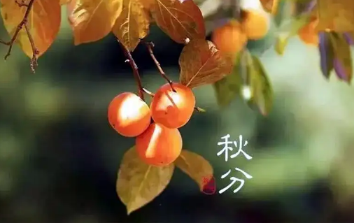2022年秋分节气在南方热不热