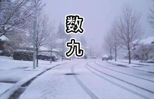 2022数九从哪一天开始到哪一天结束