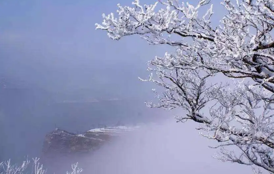 2022数九从哪一天开始到哪一天结束