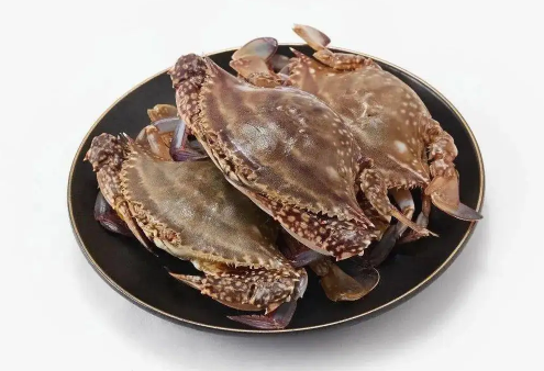 梭子蟹买多大的合适